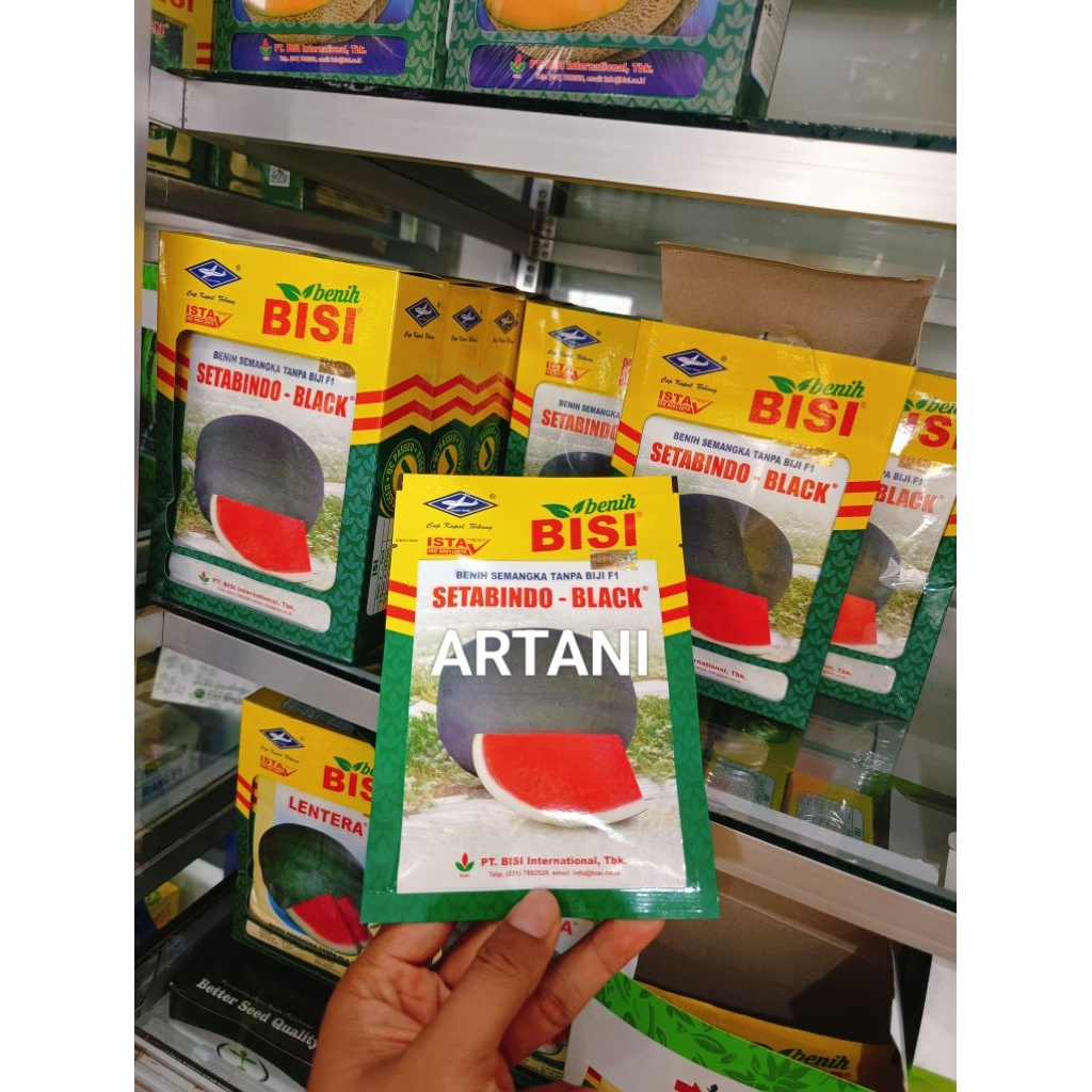 Benih Bibit Semangka Non Biji Stabindo Black F1, Kulit Gelap Lonjong dan Berbobot. isi Benih 20 gram