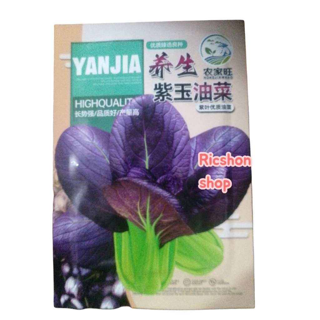 benih pakcoy ungu cina