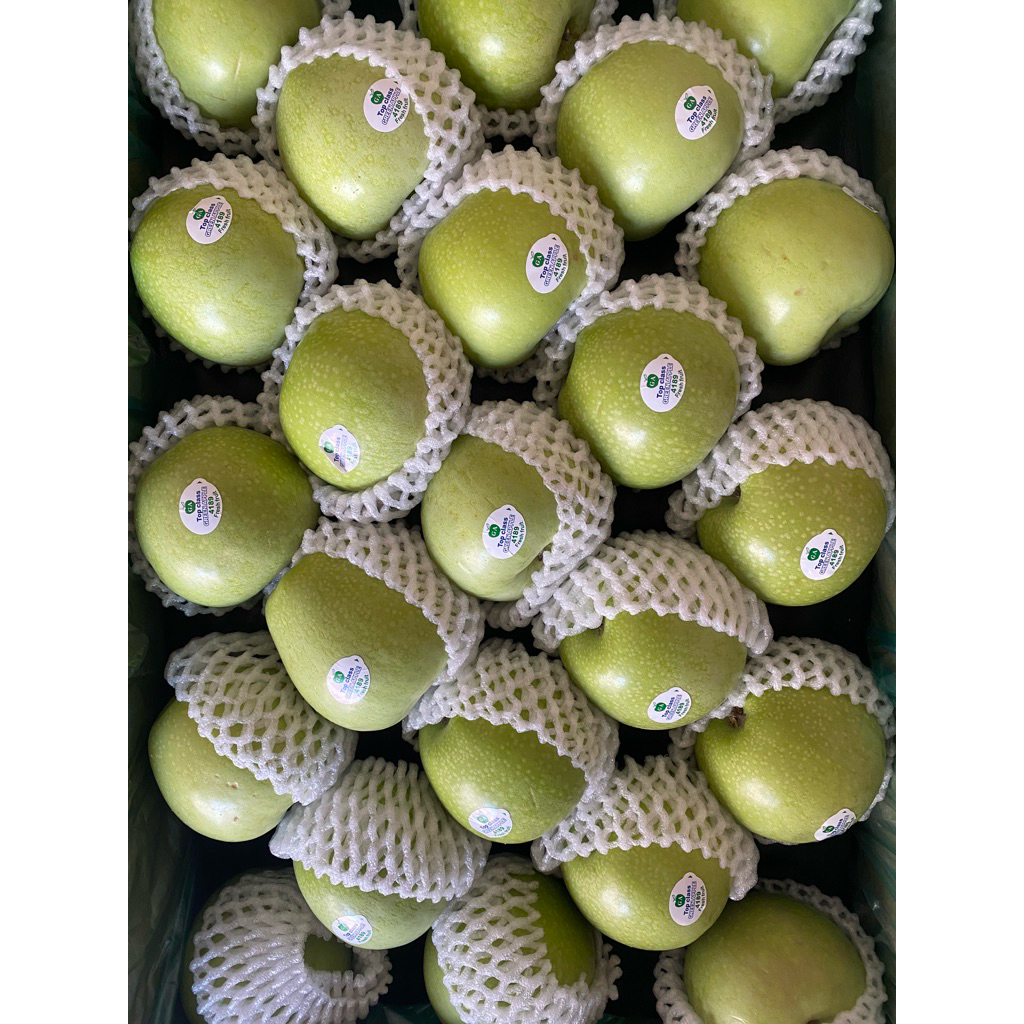 Buah apel granny smith / apel granny smith / apel hijau