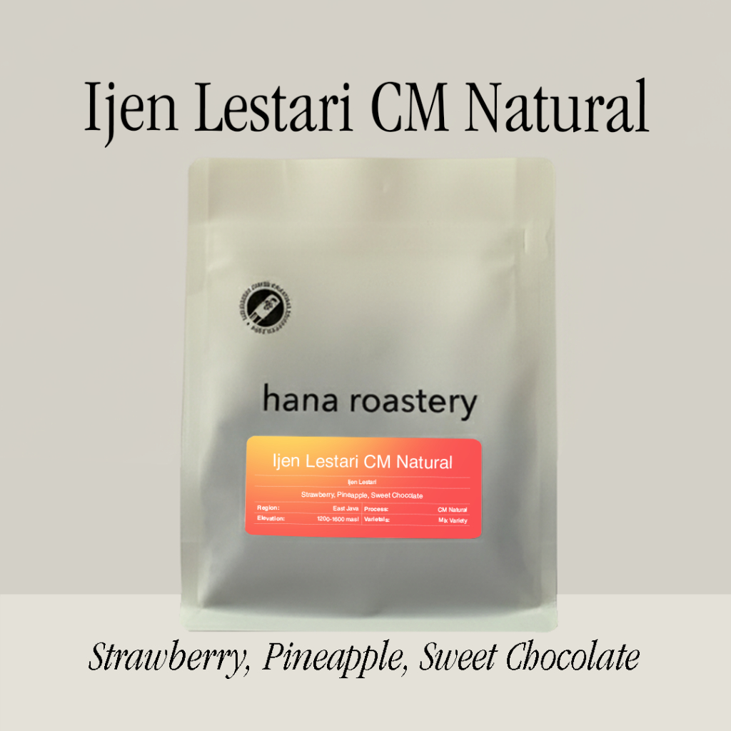 Ijen Lestari - CM Natural - Hana Roastery - Filter Coffee