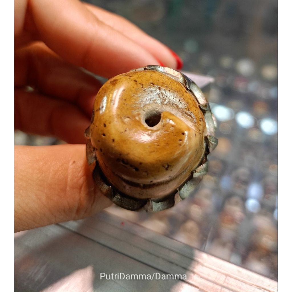 Cincin Fosil  Keong/kool buntet (Natural)