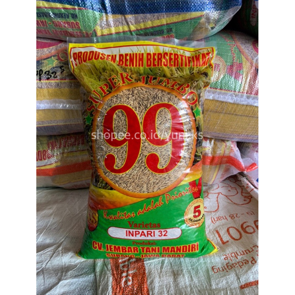 Benih Padi Super Jumbo 99 Inpari 32