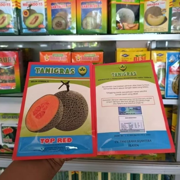 Benih Melon TOP RED daging Oren isi ±500 biji ORIGINAL TANIGRAS