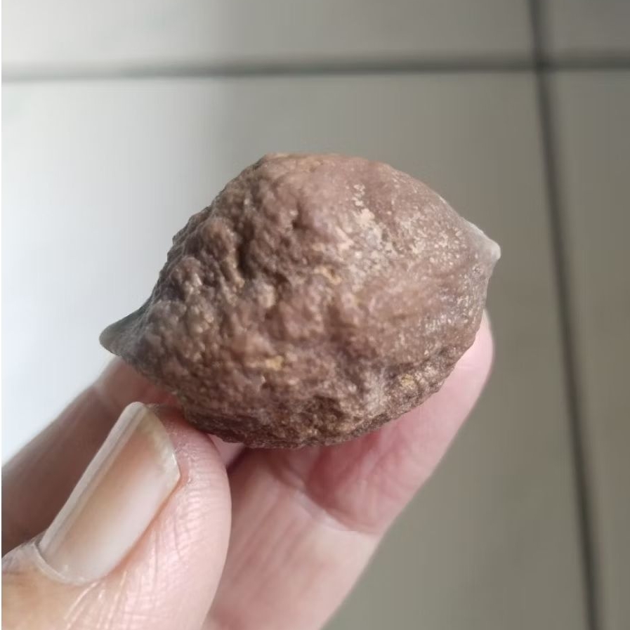 Kemiri Adu Muncang Adu Yanti Arum Urgen Full Tua