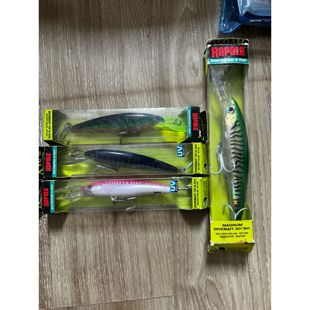 minnow rapala x-rap saltwater