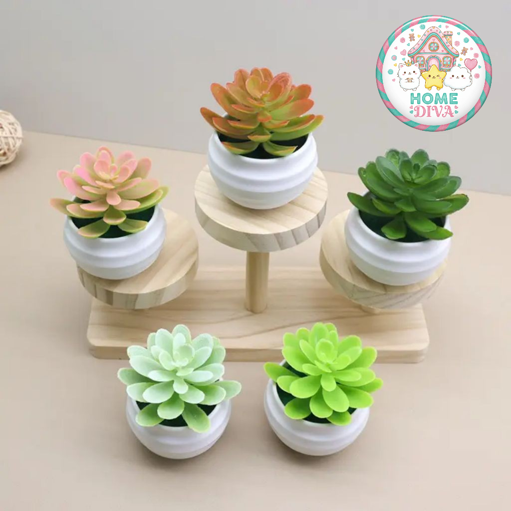 TANAMAN HIAS MINI | POT BUNGA HIAS MINI | TANAMAN HIAS PLASTIK KAKTUS MINI IMITASI