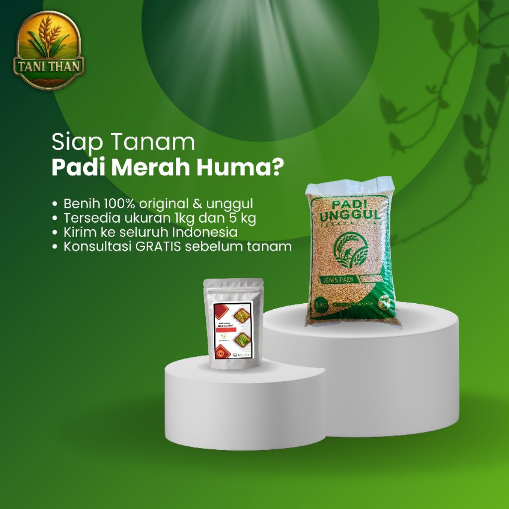 benih padi unggul merah huma 1kg