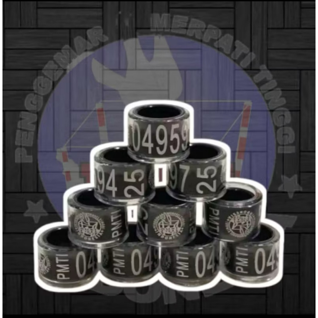 RING PMTI 2025 Resmi