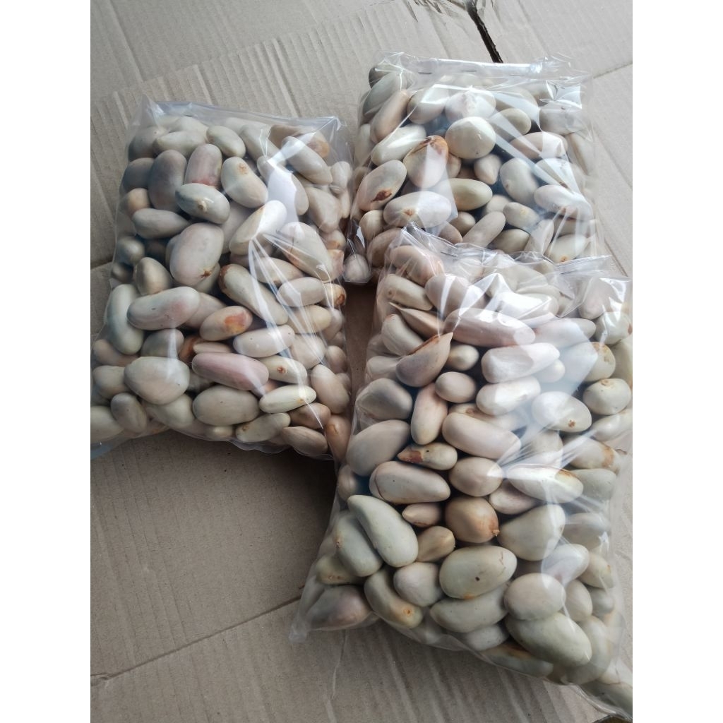 BIJI NANGKA 1 KG / BIJI NANGKA PILIHAN