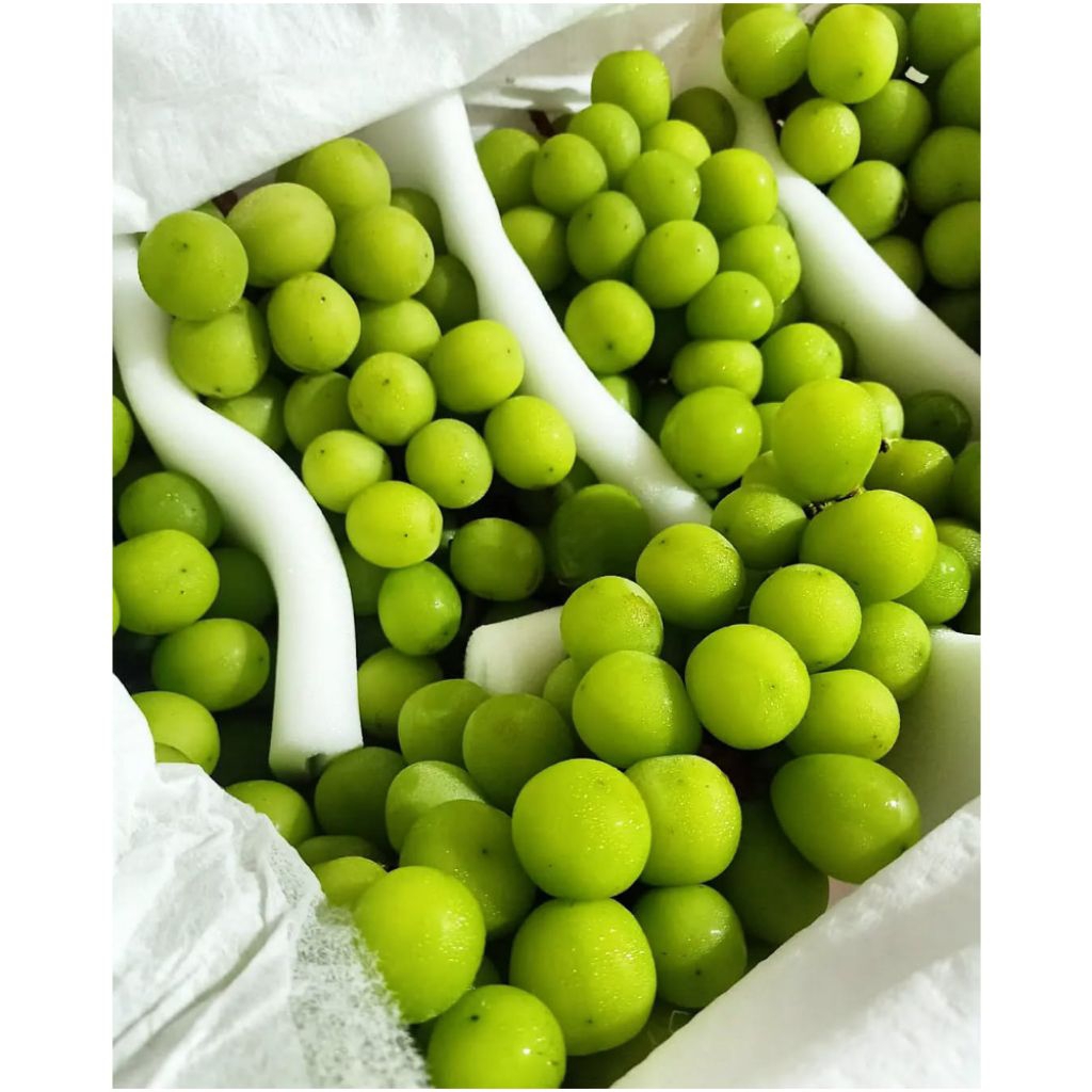 PERDUS - ANGGUR MUSCAT MANIS - 5KG FRESH BERSIH / ANGGUR SHINE MUSCAT 1 DUS 5 KG - EKA JAYA JAKARTA