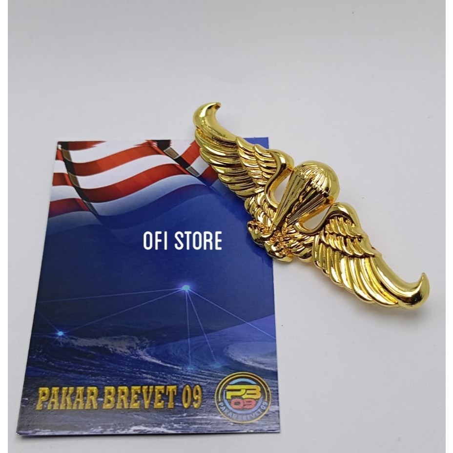 Pakar Brevet 09 : BREVET TNI AL/BREVET MARINIR/BREVET PARA DASAR MARINIR/BREVET PARA DASAR/PAKAR BRE