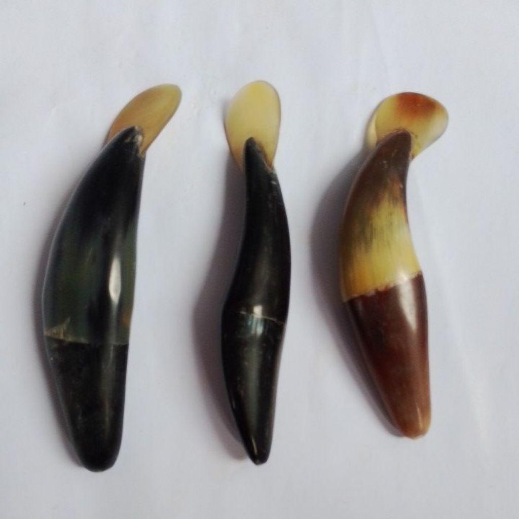 alat kerokan dari  tanduk