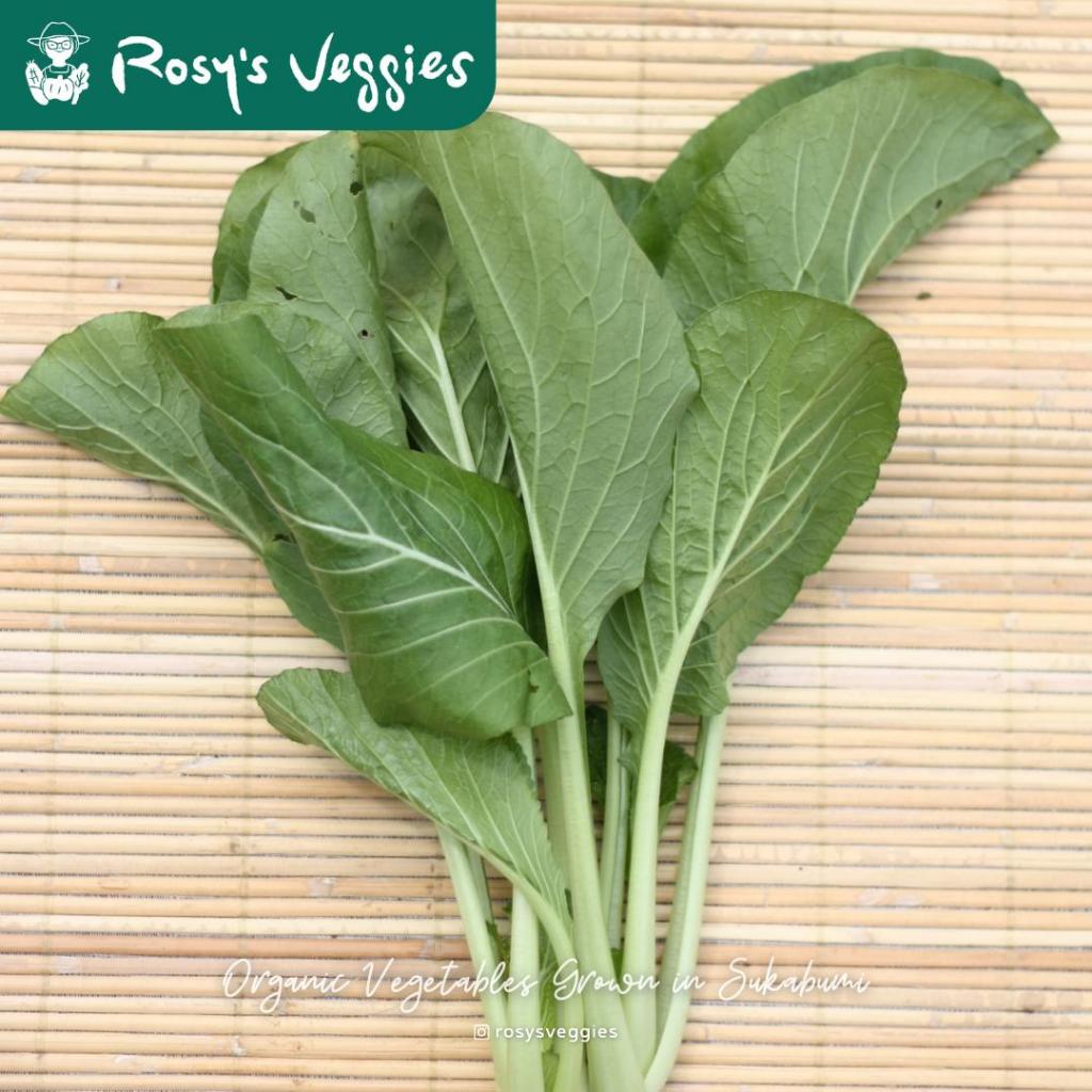 Caisim Organik | 250 gr