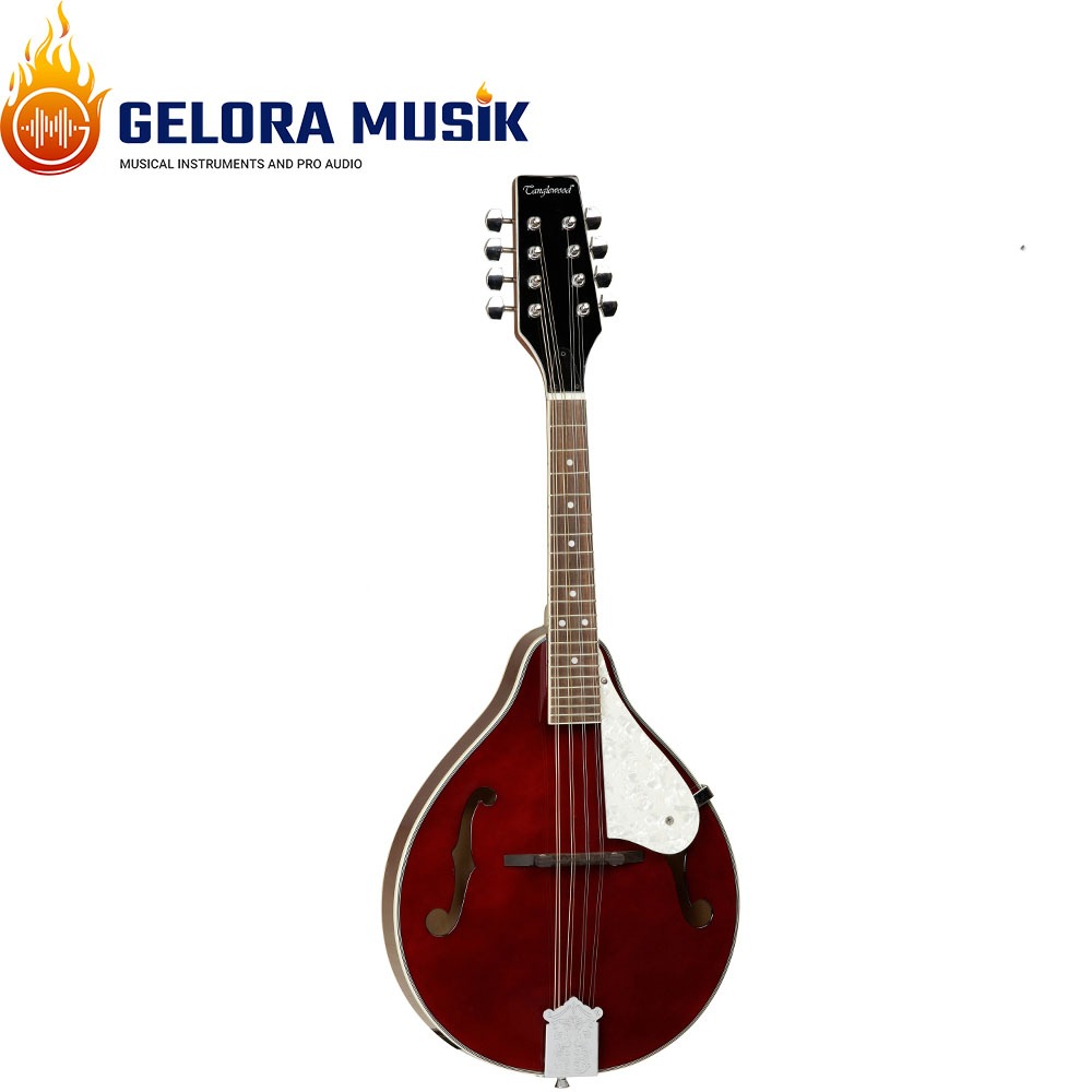Mandolin Tanglewood TWM TWR