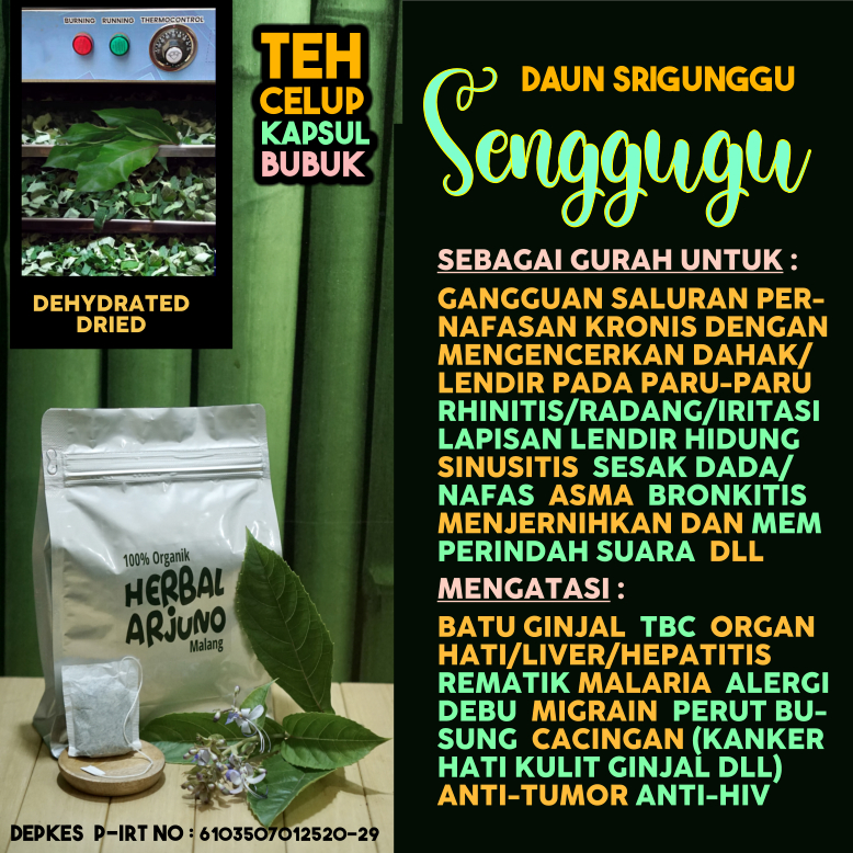 Dehydrated Dried Teh Celup Kapsul & Bubuk Daun Senggugu Srigunggu Obat GURAH Pengencer Dahak Lendir 