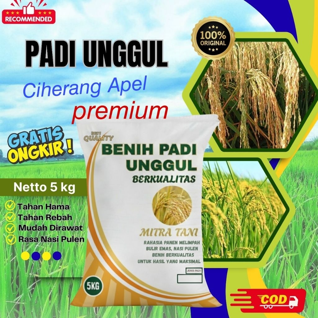 Bibit padi CIHERANG APEL kemasan 5kg