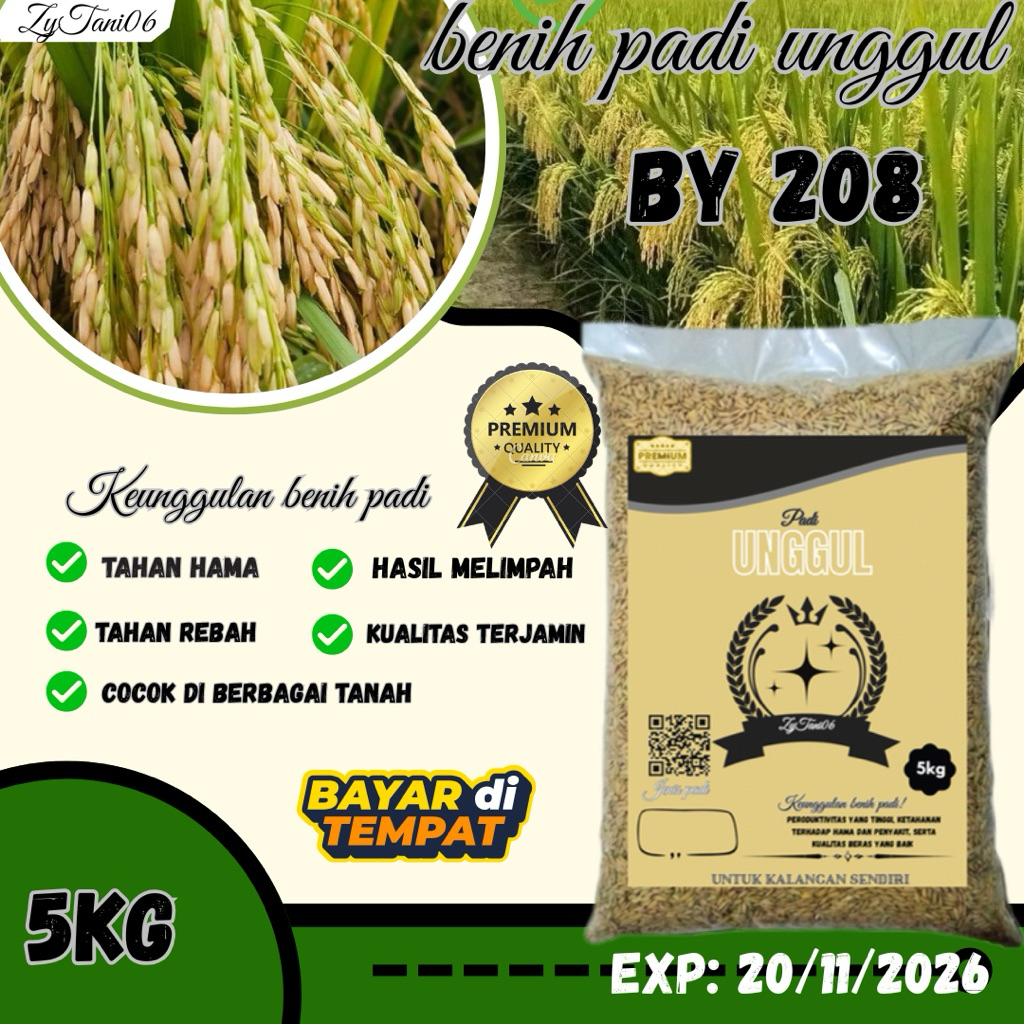 benih padi BY 208 kemasan 5kg