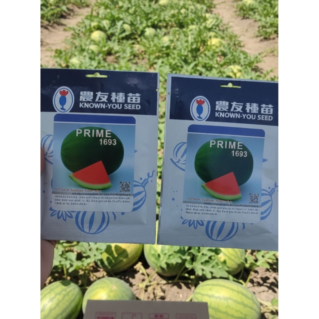 Benih semangka prime juve 20 gram ORIGINAL 100%