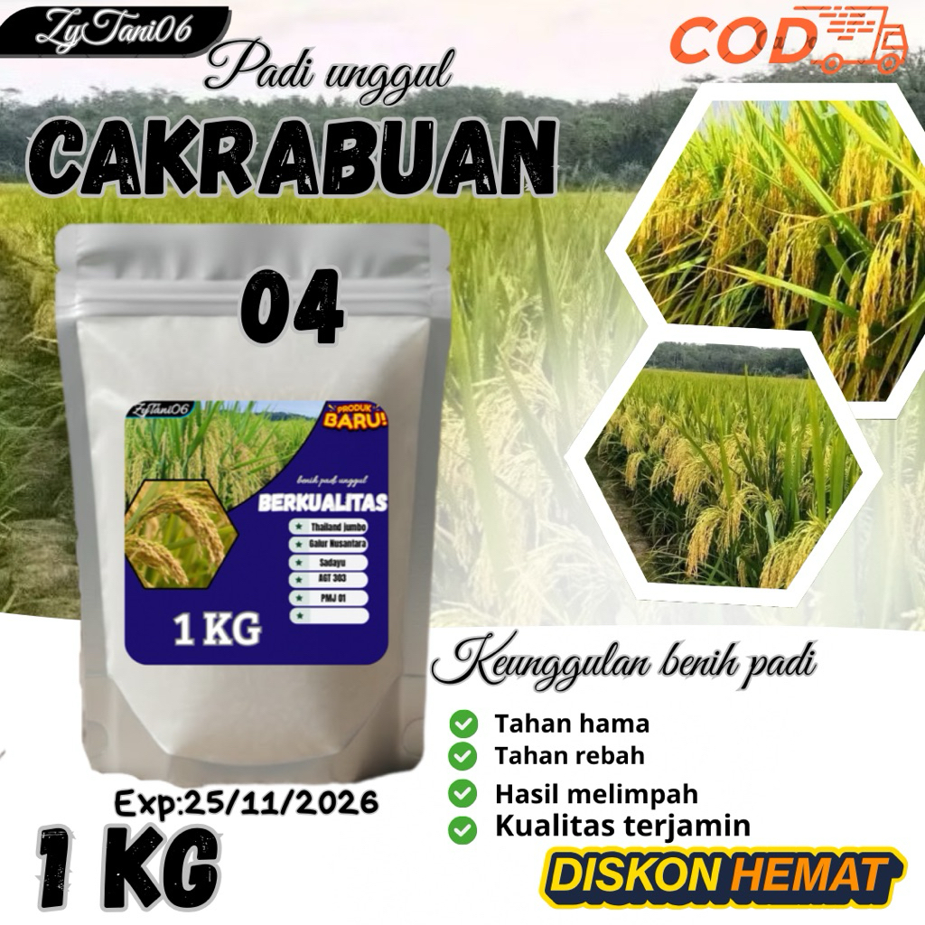 benih padi unggul CAKRABUANA 04 kemasan 1kg