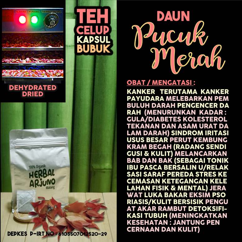 Dehydrated Dried Teh Celup Kapsul Bubuk Daun Pucuk Merah Obat Kanker Payudara Diabetes Kolesterol Hi