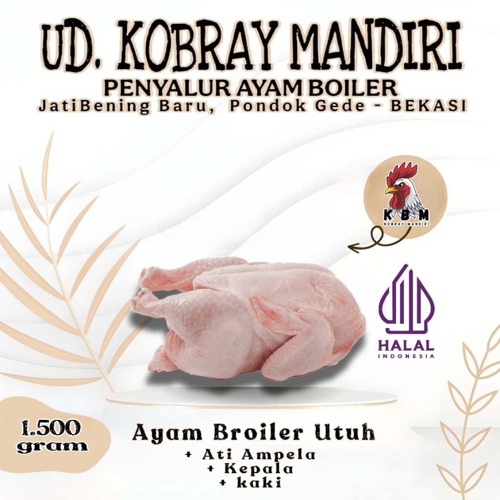Ayam Potong Broiler 1,5 kg
