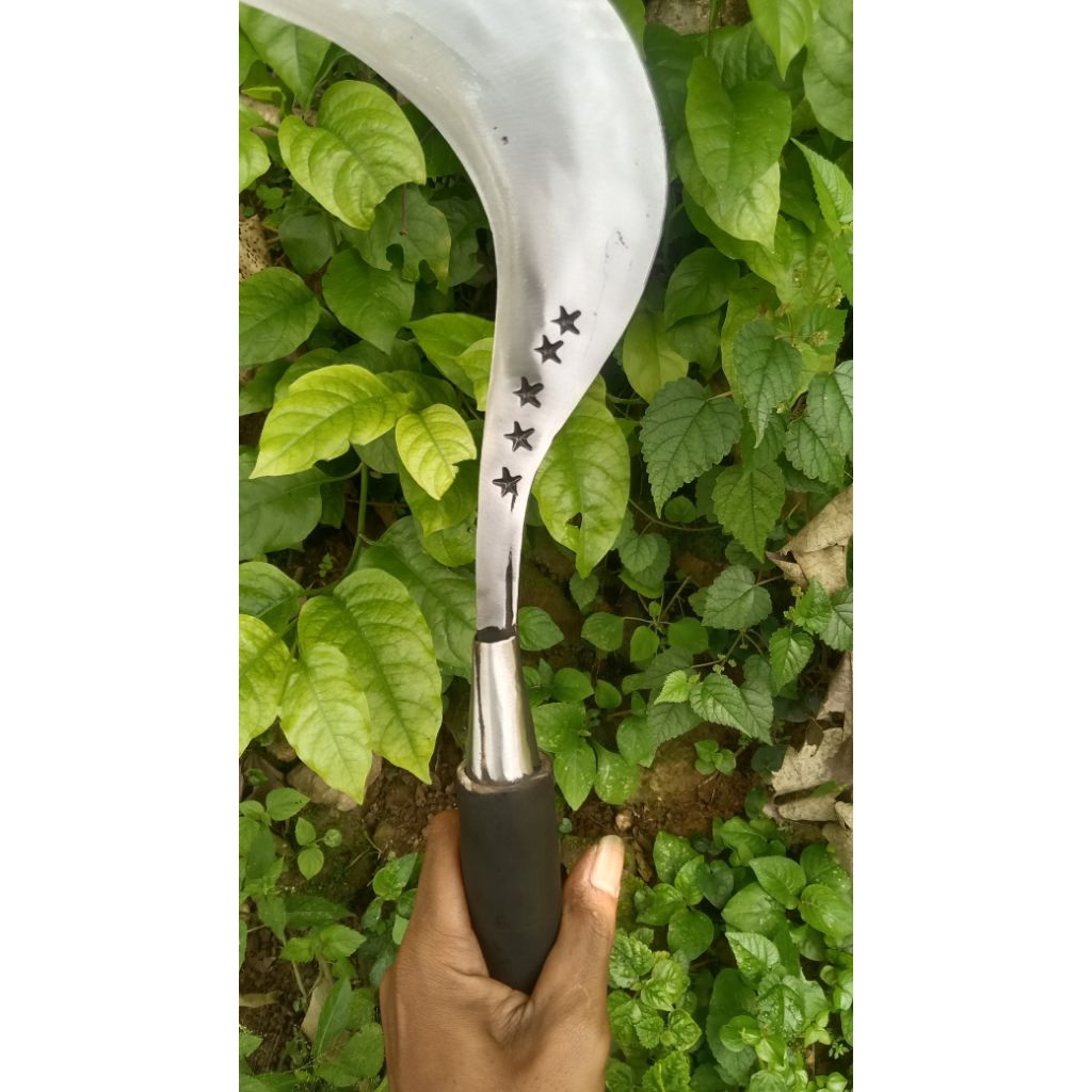 alat pertanian perkebunan rumput Sabit bintang lima bahan baja asli Madura