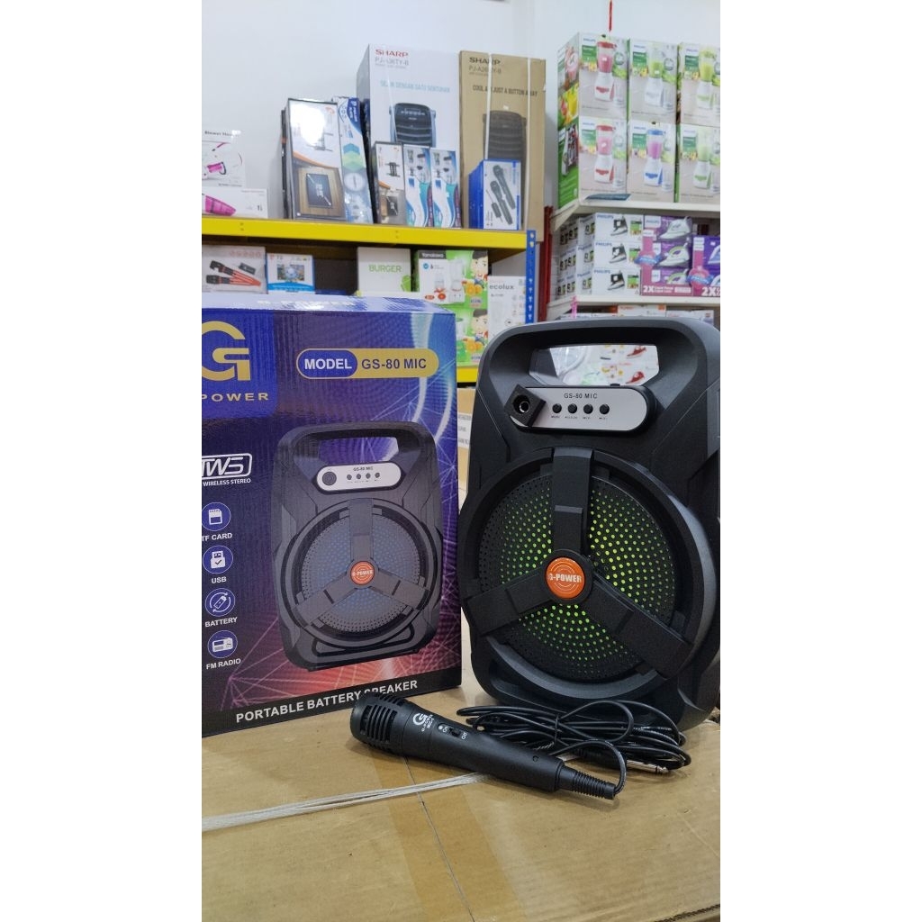 speaker g power gs 80 degan mic