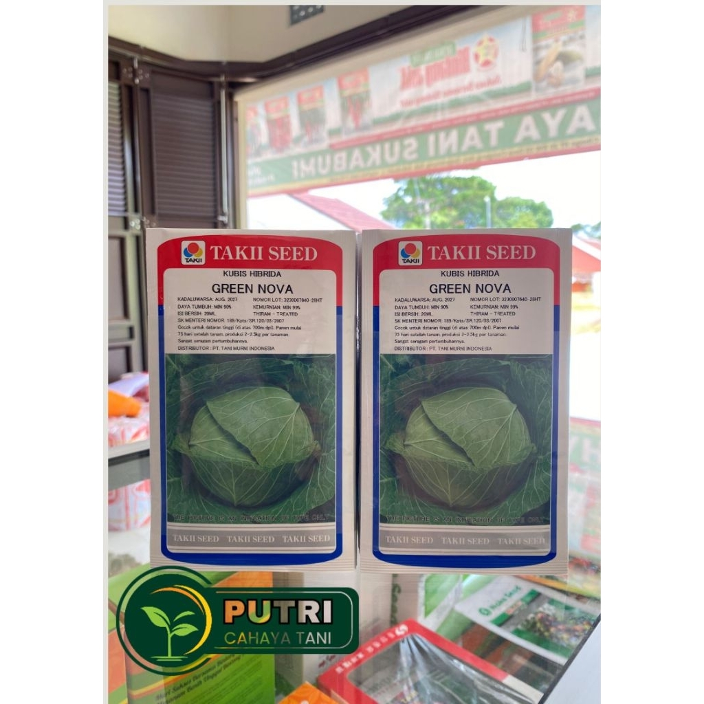 Benih Kol/kubis GREEN NOVA TAKII SEED