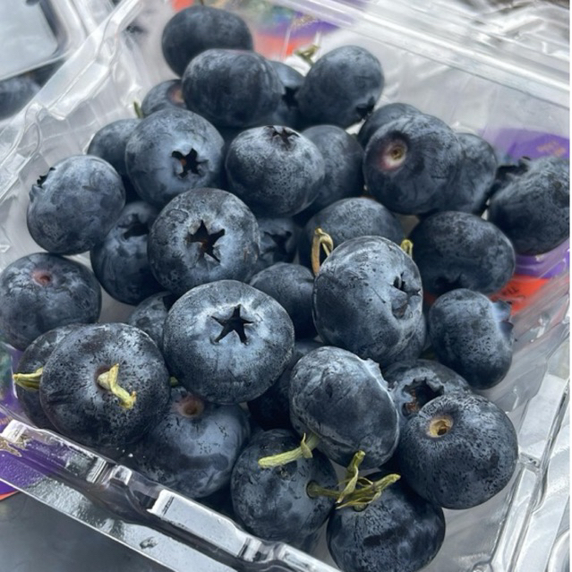 Blueberry Fresh