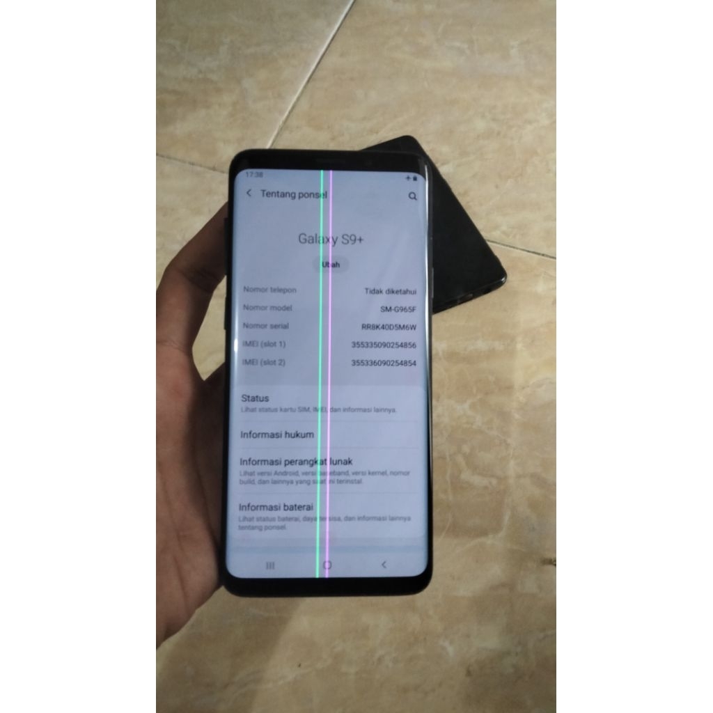 Samsung S9 Plus Sein RR