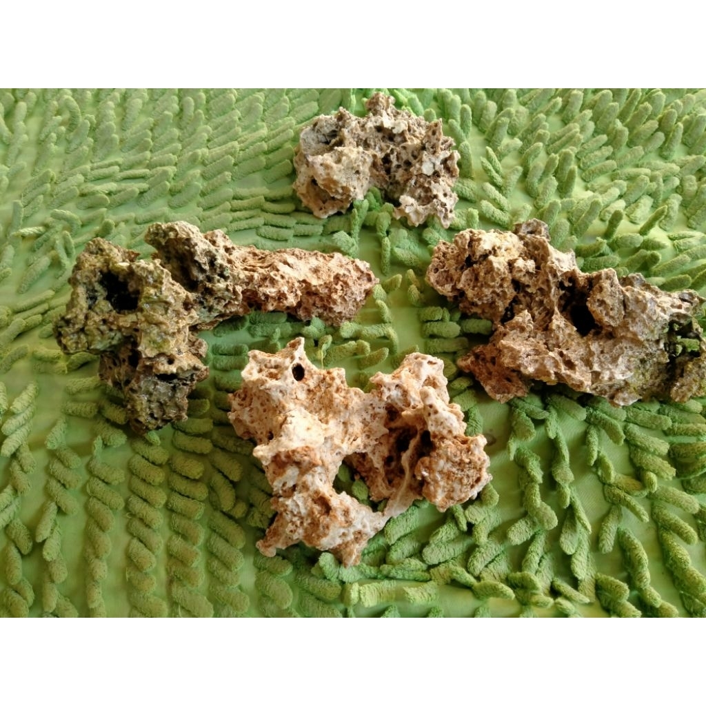 Batu karang gunung per 1 kg/dekorasi aquarium/tambahan ornamen bonsai