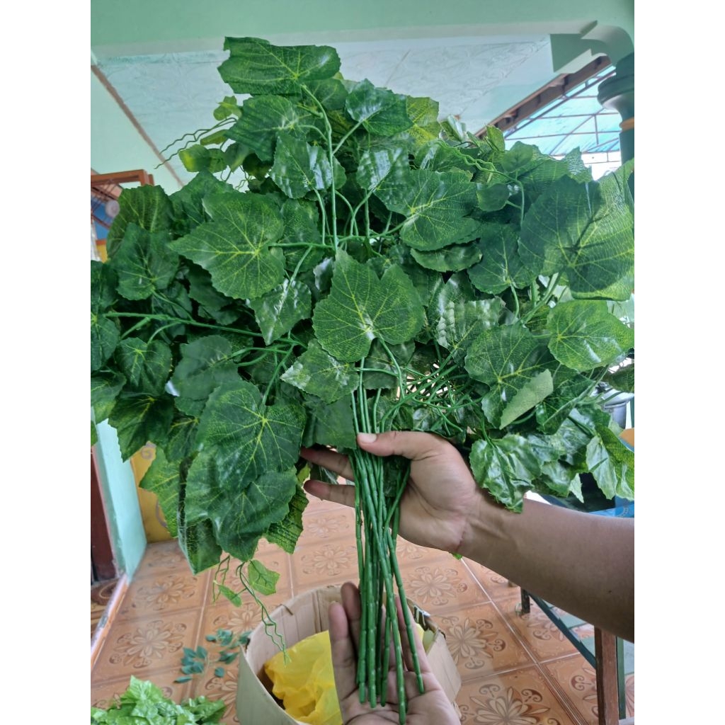 Daun Anggur Bekas Pemakaian Jarang PerLusin