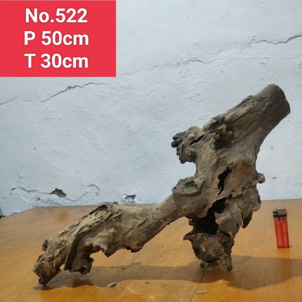 bonggolan akar santigi laut akar dekorasi aquarium aquascape 522