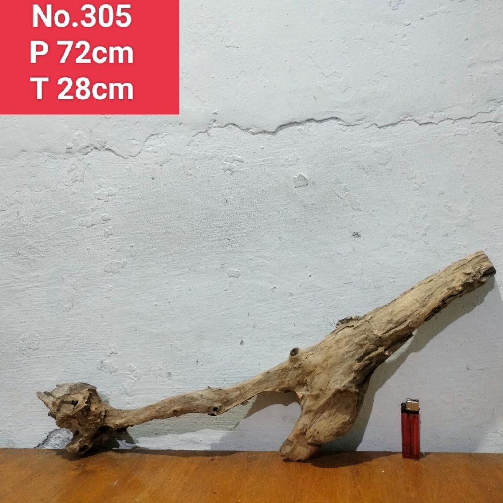 akar santigi laut kayu santigi aquascape aquarium 305