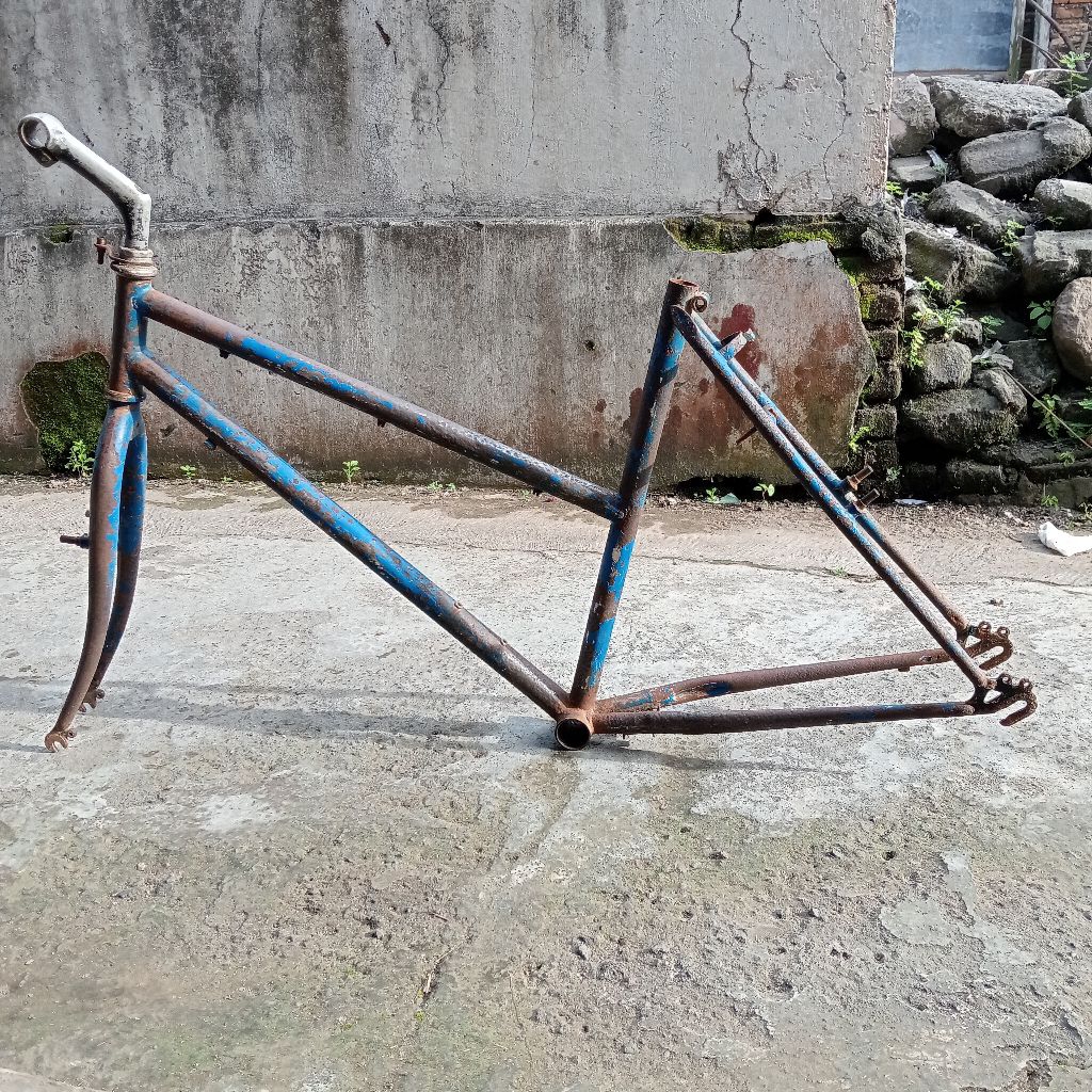 frame set federal straycat size 19,5