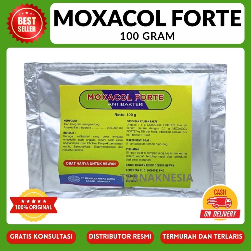 MOXACOL FORTE 100 GRAM - Antibakteri Amoxi.cilline Mensana