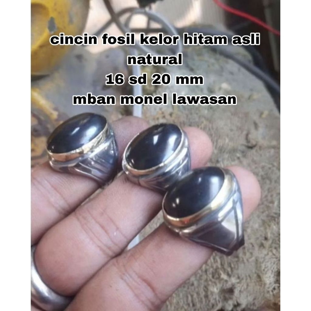 cincin batu akik posil kelorhitam mban monel tanam terbaik