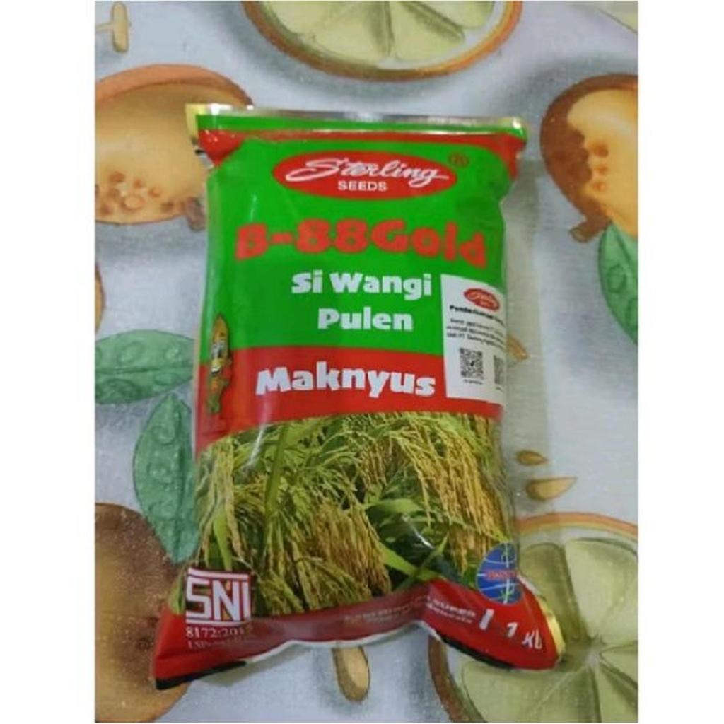 Benih padi hibrida STERLING B-88 GOLD padi pulen dan wangi, kemasan 1kg ORIGINAL