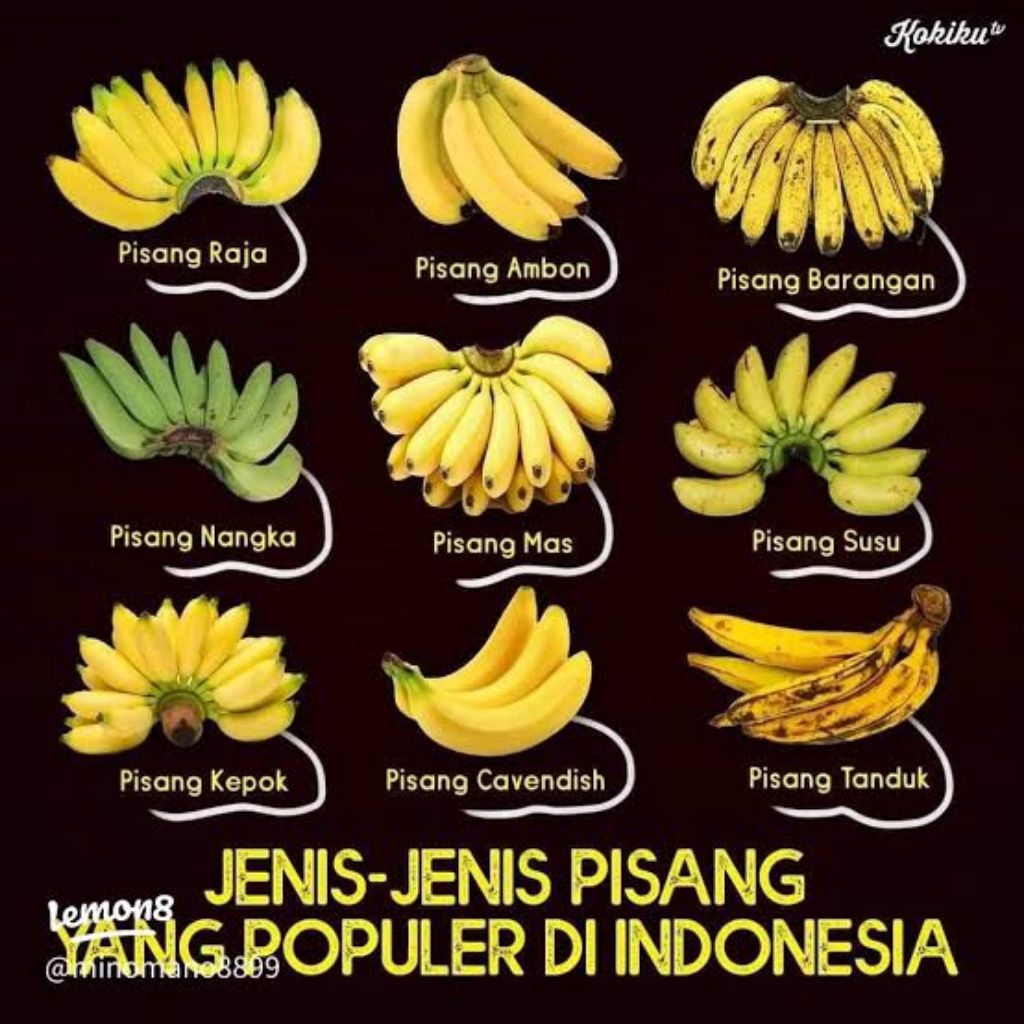 Aneka Pisang Ambon Lampung Uli nangka kepok emas Raja; Siam, sereh, susu, bulu