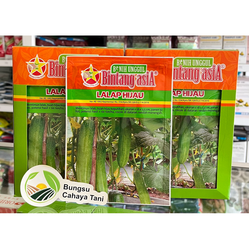 Benih Timun LALAP HIJAU 20gr Bintang Asia