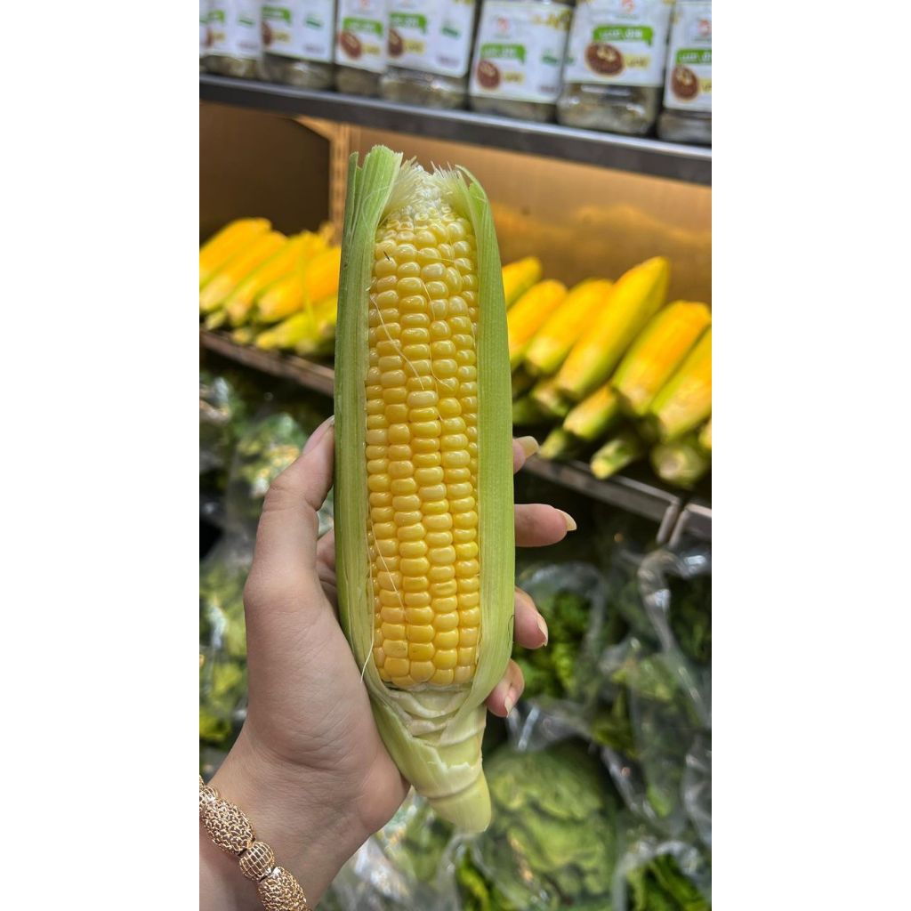 BENIH JAGUNG MANIS KERING 100 BIJI