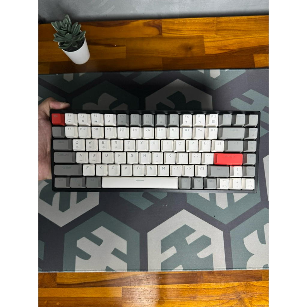 [Second] Keyboard Rexus Daxa M84 Ultimate Wireless Triple Connection