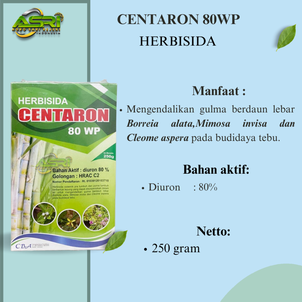 CENTARON 80WP 250GRAM HERBISIDA