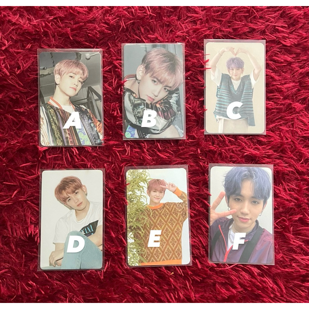 PC/PHOTOCARD MASHIHO