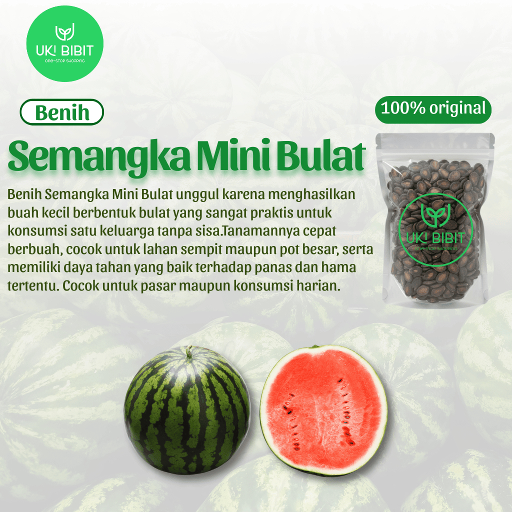 ( 5 Butir ) Benih Biji Semangka Mini Bulat | Semangka Merah Dragon