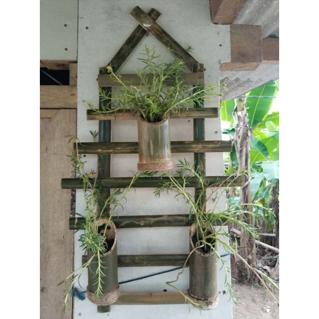 hiasan bingkai/dudukan bunga gantung bambu alami