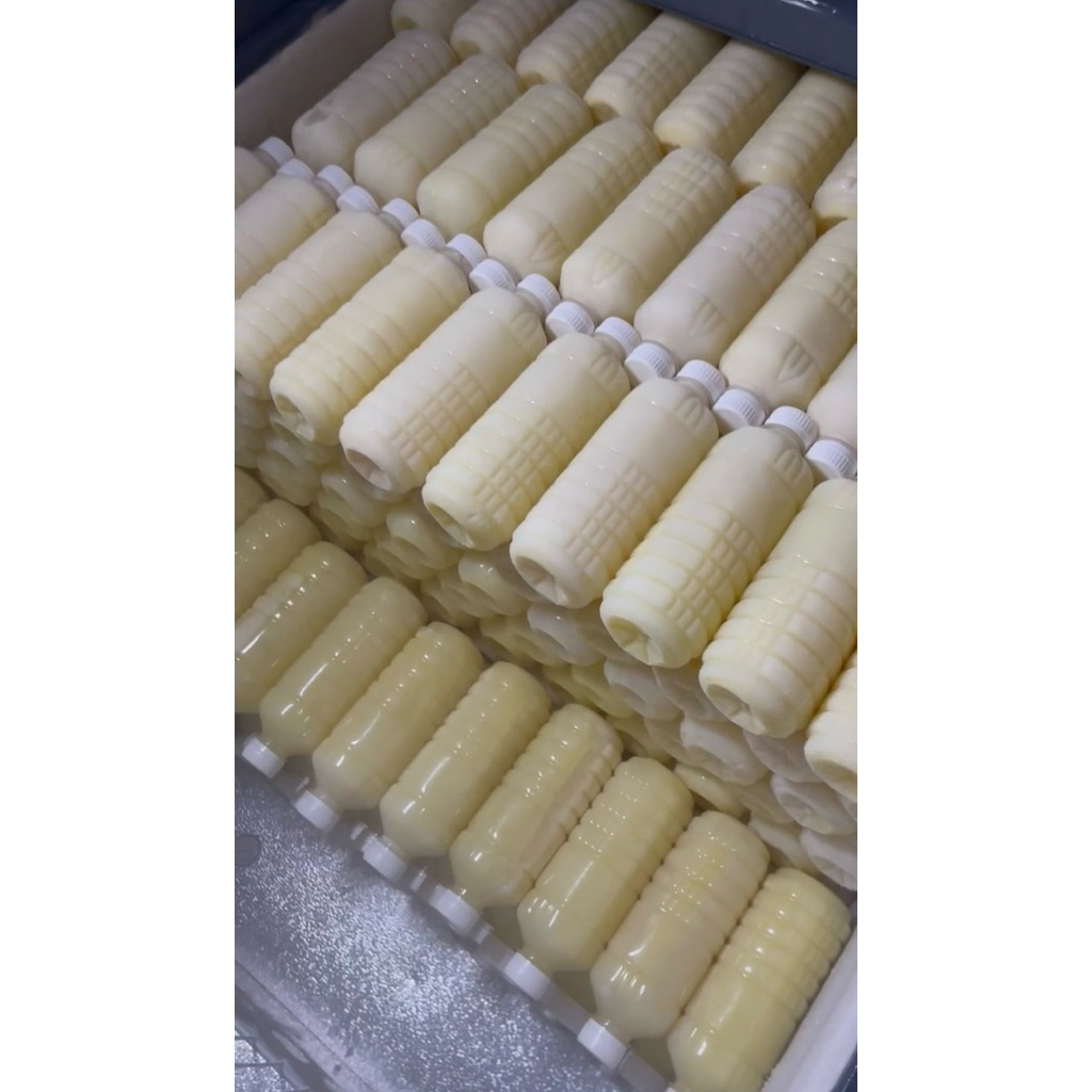 SusuKambingSanenAsli