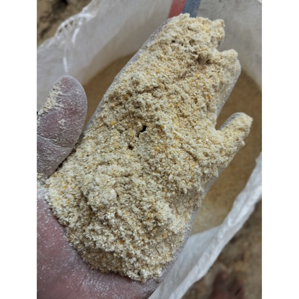 Grosir Tepung Jagung/Dedek Jagung/ Ampok Jagung Pakan Ternak