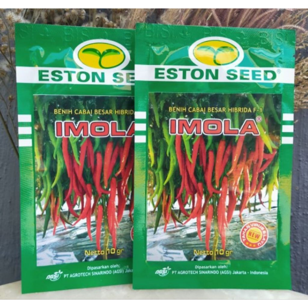 BENIH CABE BESAR IMOLA F1 10 GRAM