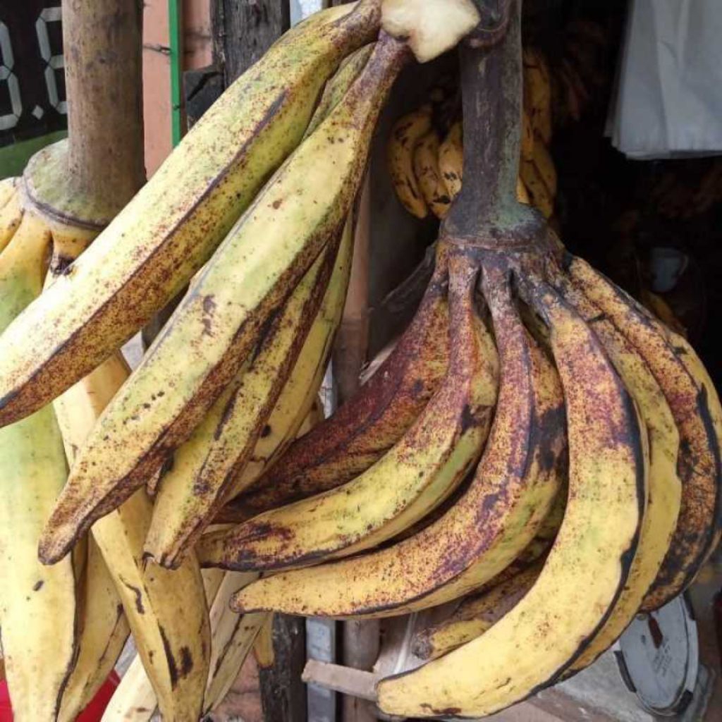 pisang tanduk mentah tua  per 1kg